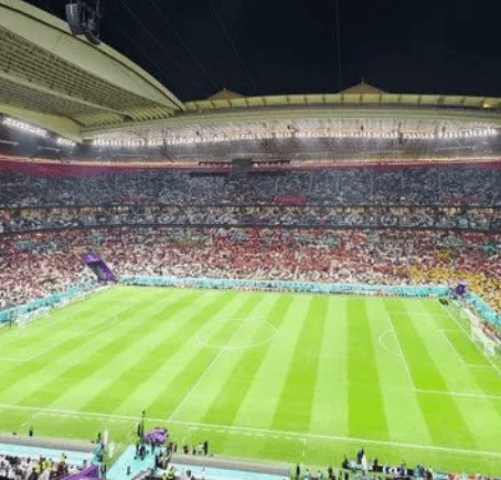 尼古拉斯,多明戈斯,全球最强英,世界杯预测,2026世界杯,比赛分析,球队表现,足球赛事